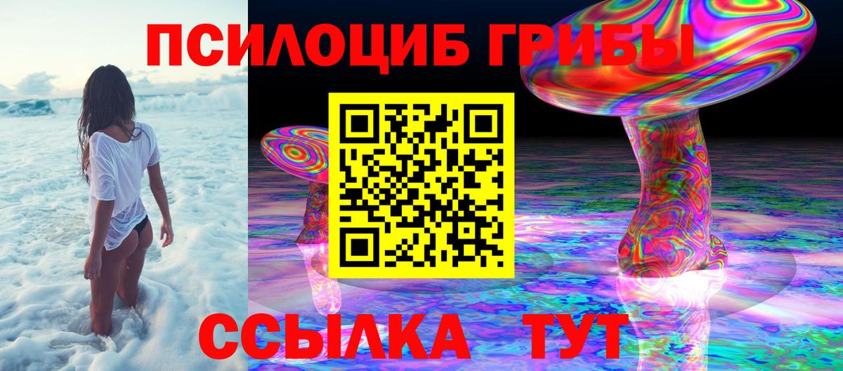 где купить наркоту  Галлюциногенные грибы прущие грибы  Вход с VPN  Шебекино 