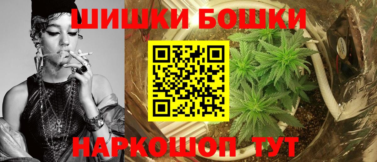 Конопля гибрид Шебекино